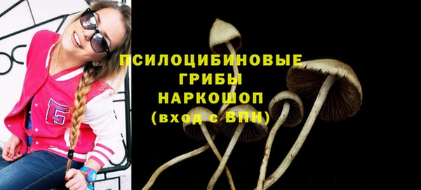 герыч Верхний Тагил