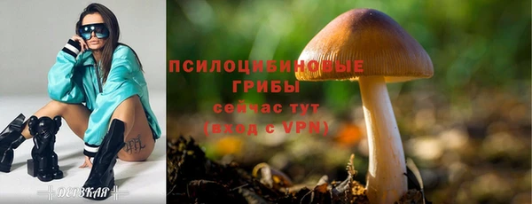 mdpv Верхнеуральск
