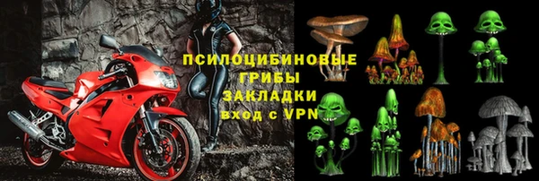 спиды Верея